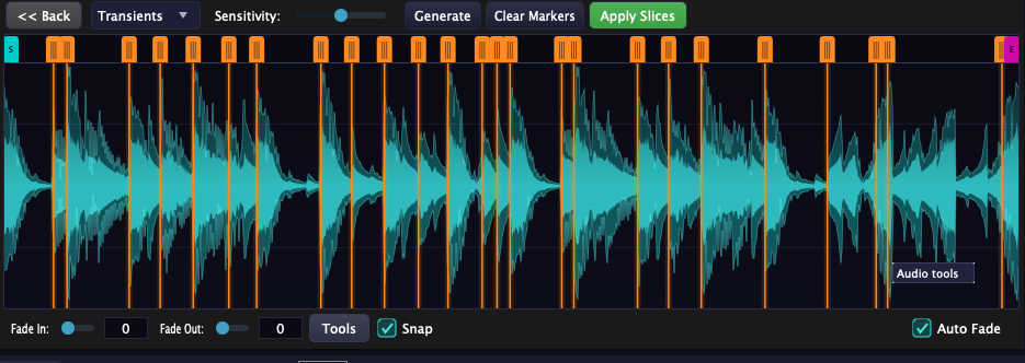 Circuit Vault waveform editor with slice markers and transient detection